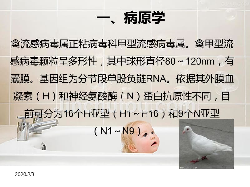 人感染H7N9禽流感诊疗方案2014版本_第3页