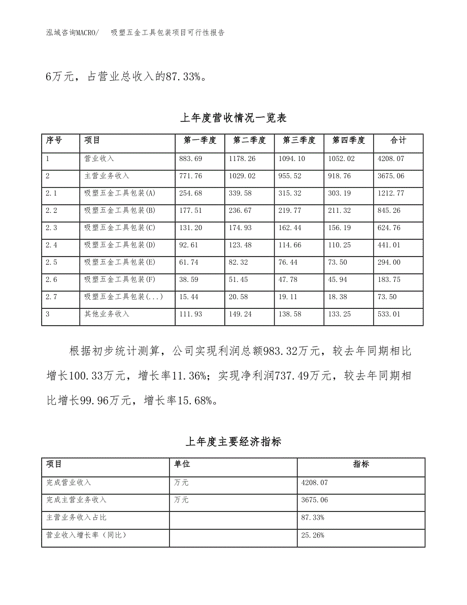 (立项备案申请样例)吸塑五金工具包装项目可行性报告.docx_第2页