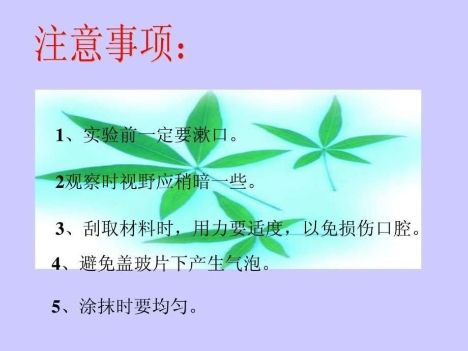 人教版初一七年级上册生物观察动物细胞课件ppt-_图文_第5页