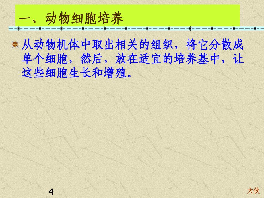 221动物细胞培养与核移植技术_第4页