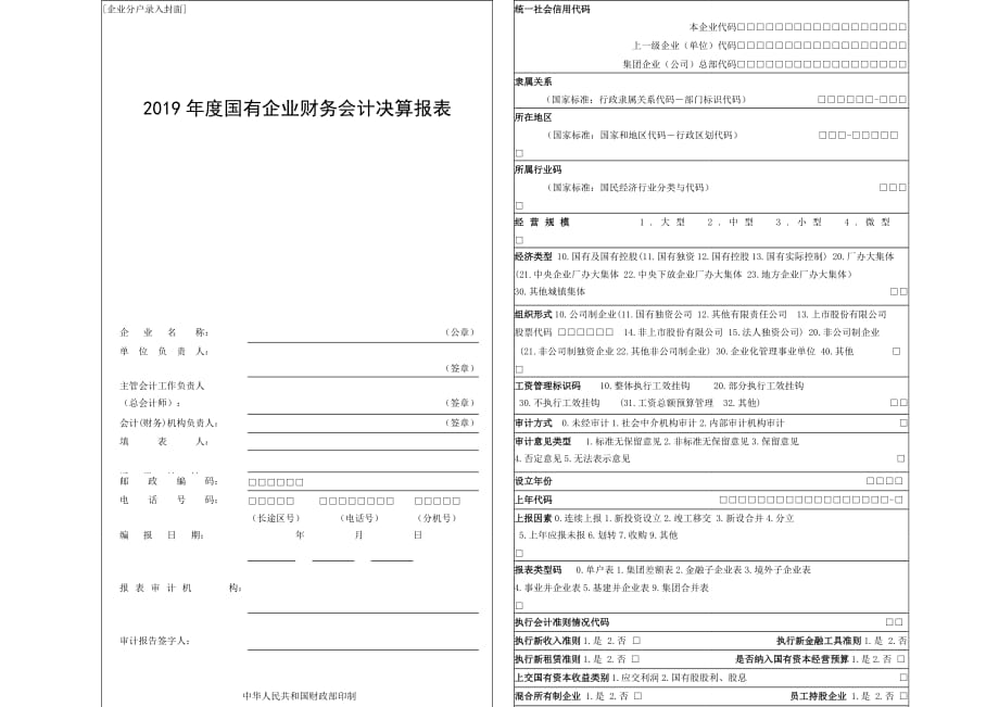 2019年度国有企业财务会计决算报表-单户封面_第1页