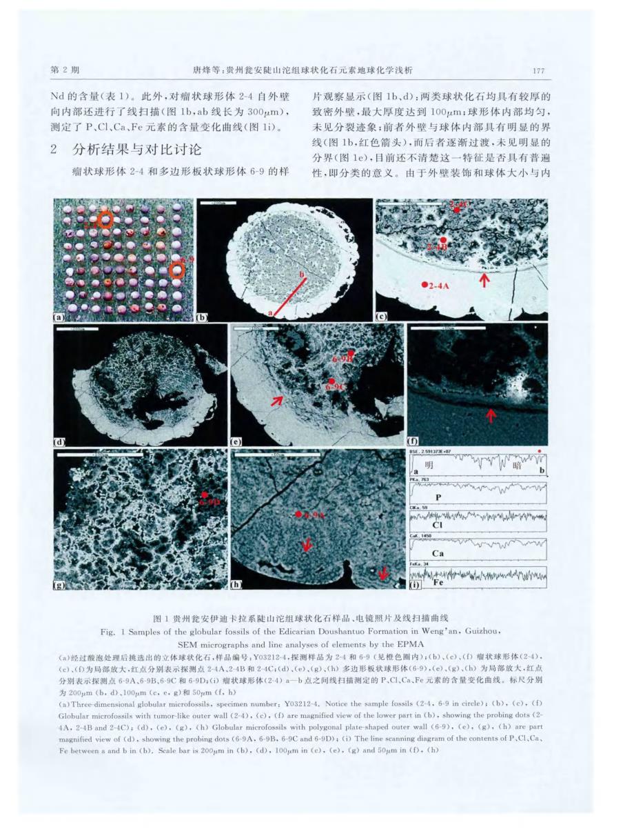 贵州瓮安陡山沱组球状化石元素地球化学浅析.pdf_第3页