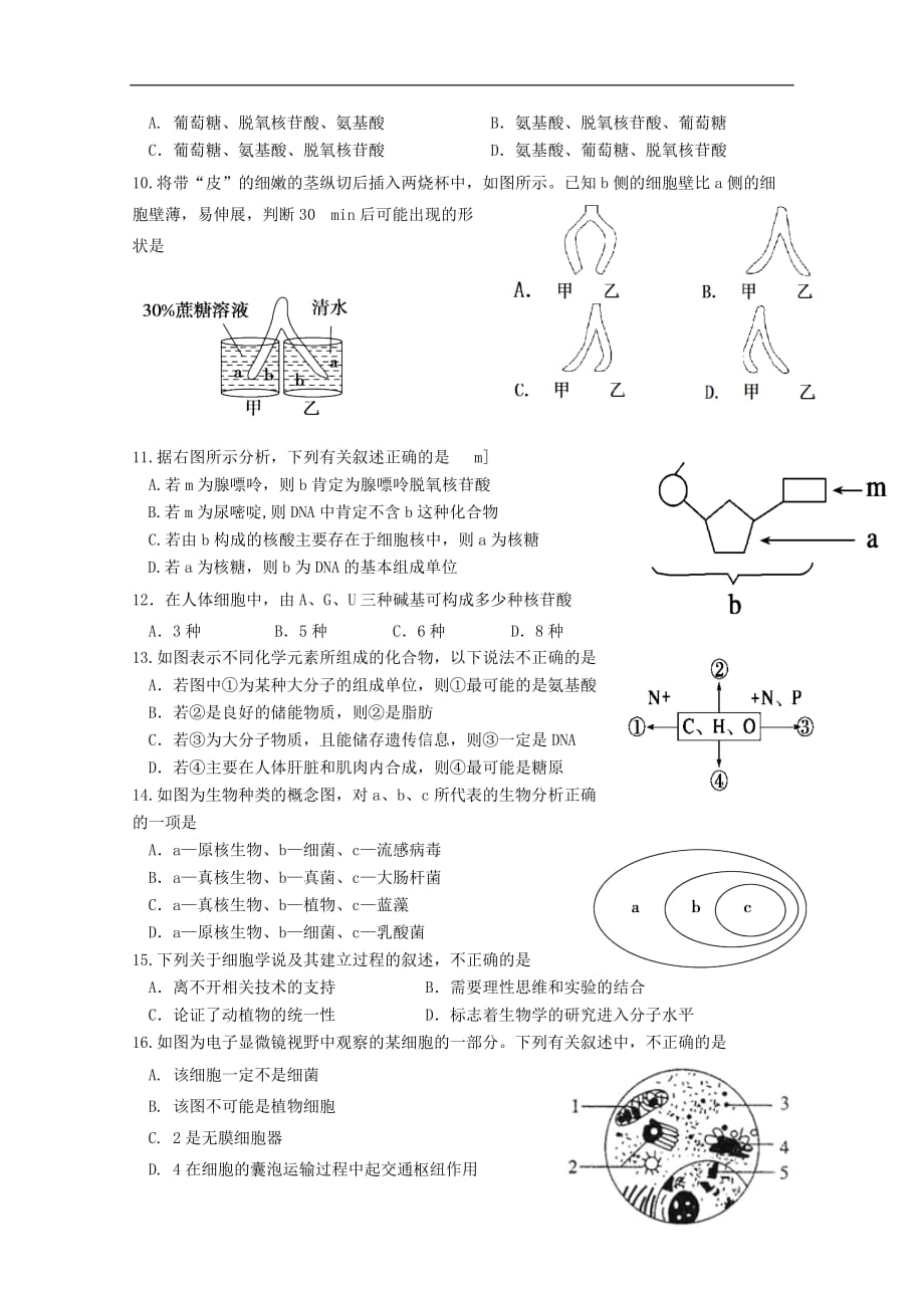 江苏省苏北县2019_2020学年高一生物上学期学情调研试题202001210256_第2页