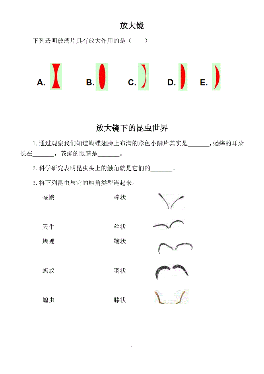 2020教科版小学科学六年级下册课堂作业新设计_第2页