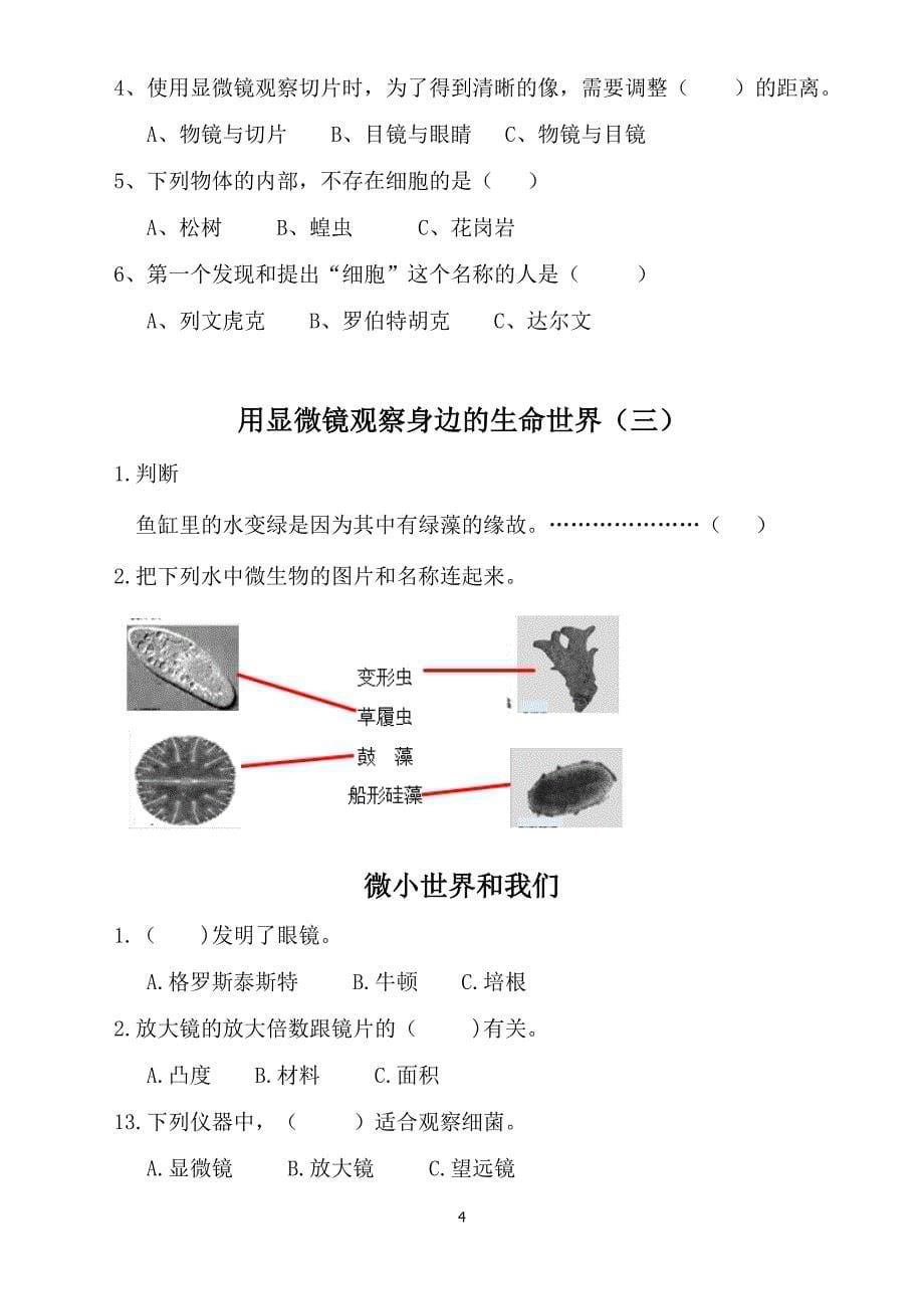 2020教科版小学科学六年级下册课堂作业新设计_第5页