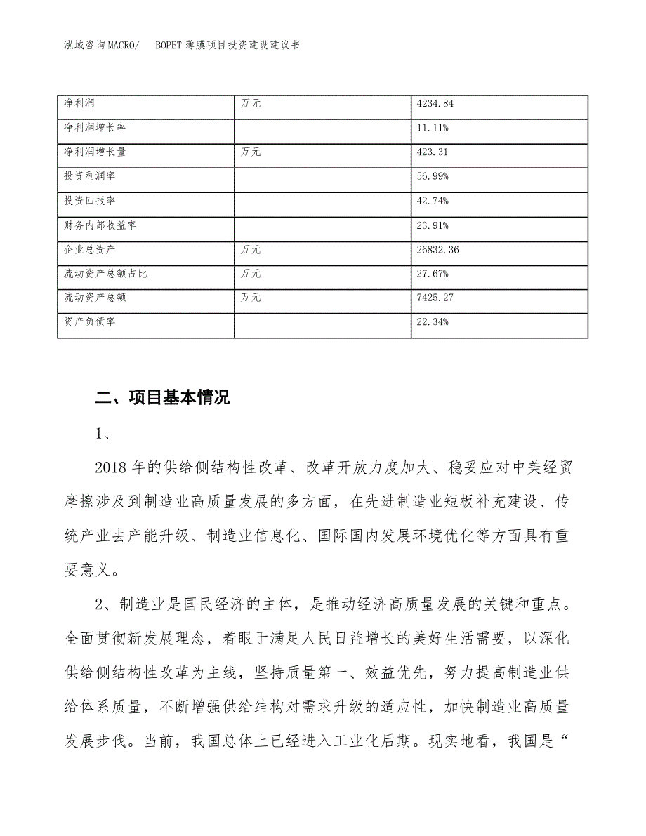 BOPET薄膜项目投资建设建议书_第4页