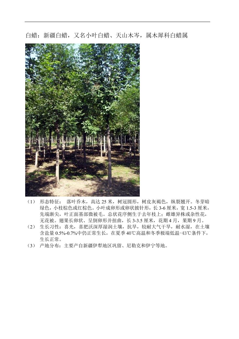新 疆树种简介_第4页