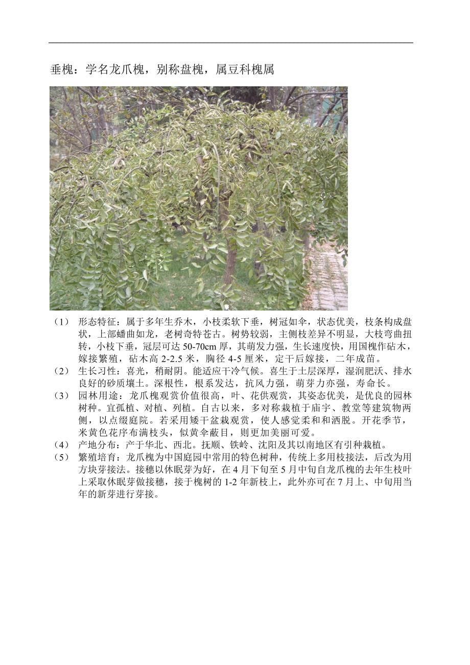 新 疆树种简介_第5页