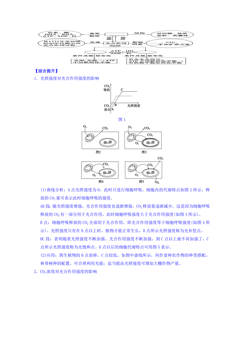 广东省惠阳区中山中学高三生物总复习学案：54《光合作用》（2） Word缺答案.doc_第2页