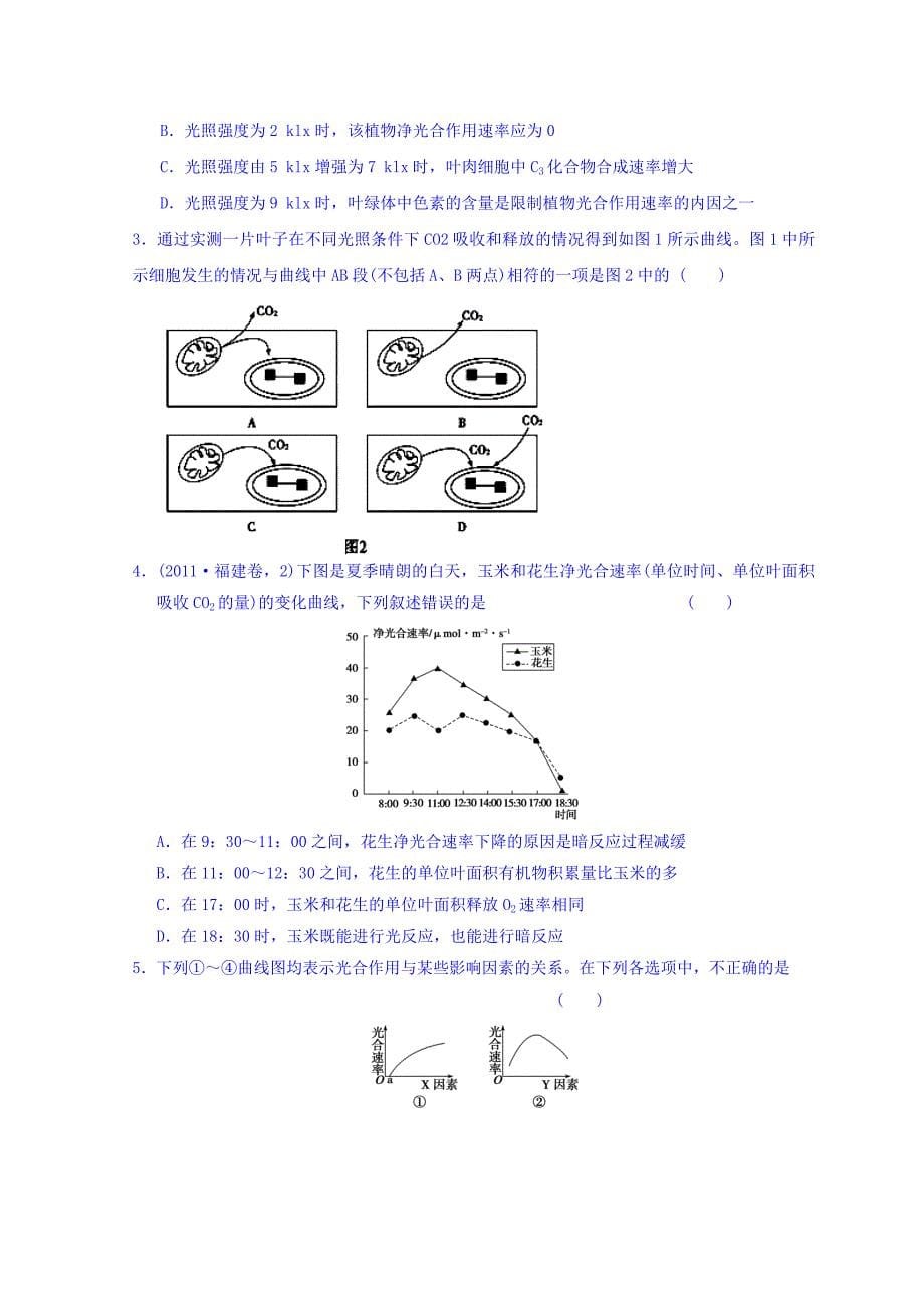 广东省惠阳区中山中学高三生物总复习学案：54《光合作用》（2） Word缺答案.doc_第5页