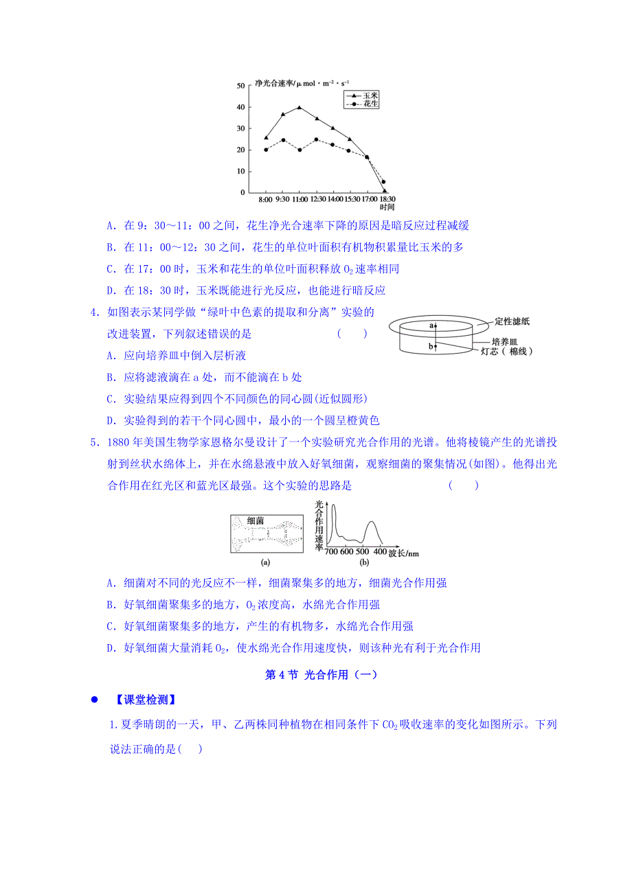 广东省惠阳区中山中学高三生物总复习学案：54《光合作用》（1） Word缺答案.doc_第4页