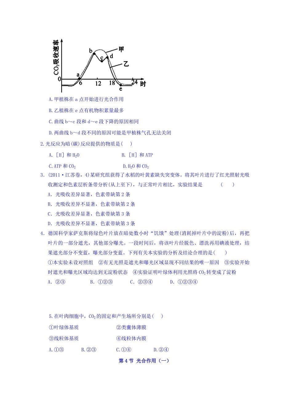 广东省惠阳区中山中学高三生物总复习学案：54《光合作用》（1） Word缺答案.doc_第5页