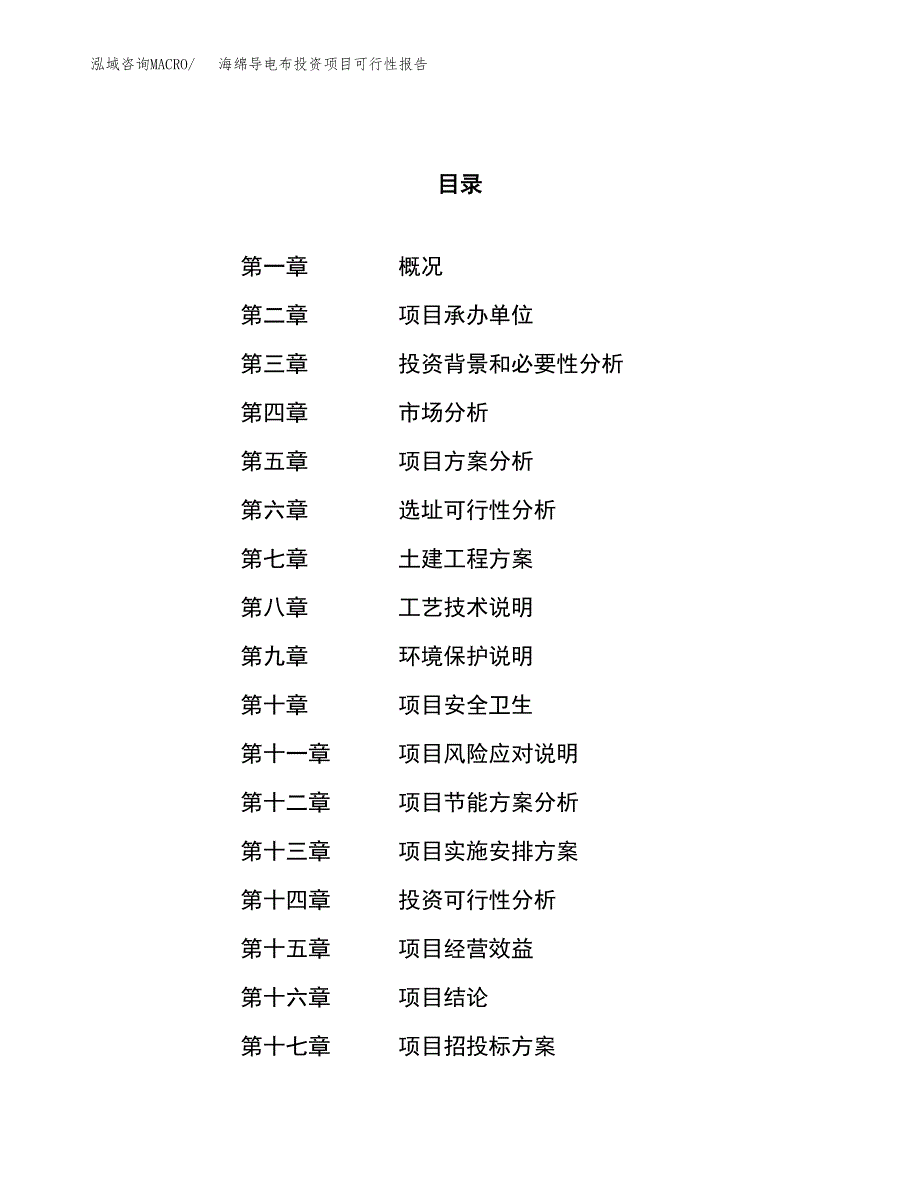 海绵导电布投资项目可行性报告(园区立项申请).docx_第1页