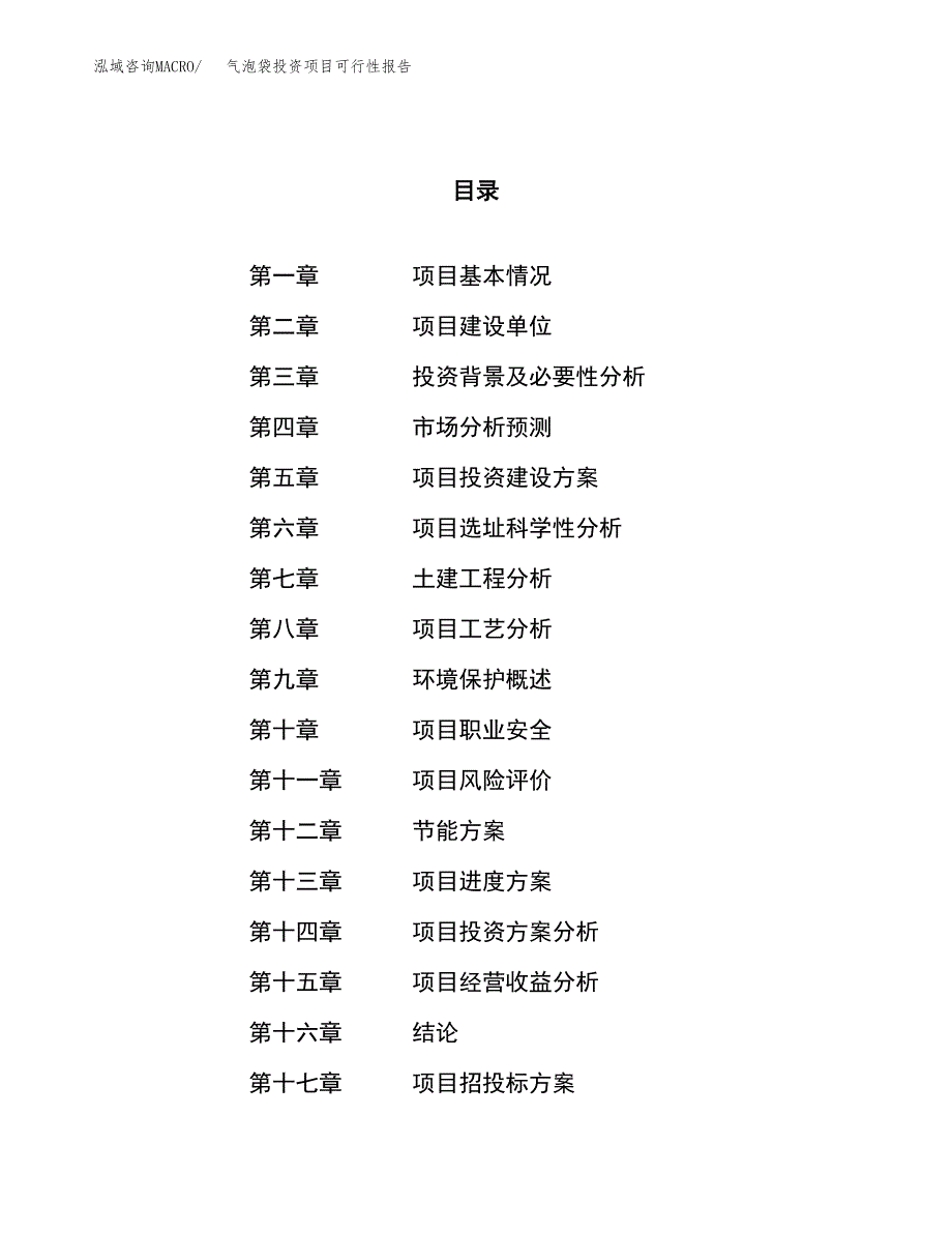 气泡袋投资项目可行性报告(园区立项申请).docx_第1页