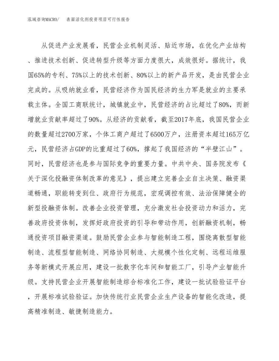 表面活化剂投资项目可行性报告(园区立项申请).docx_第5页