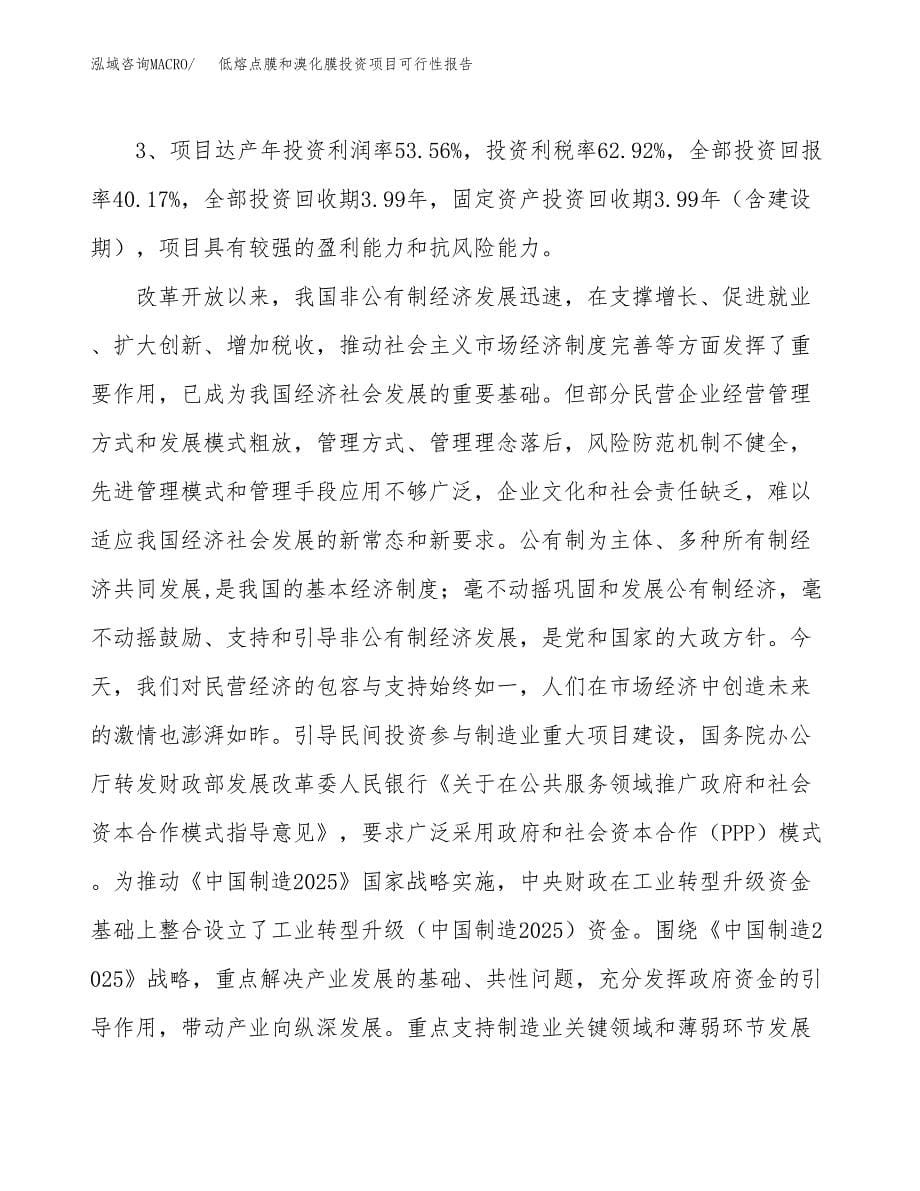 低熔点膜和溴化膜投资项目可行性报告(园区立项申请).docx_第5页