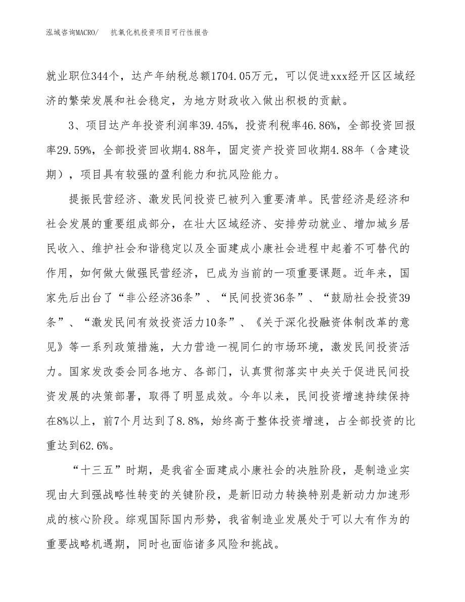 抗氧化机投资项目可行性报告(园区立项申请).docx_第5页