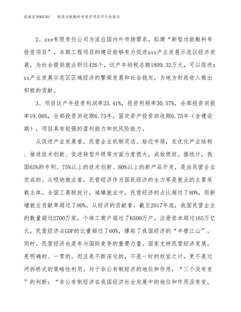 新型功能鞋料布投资项目可行性报告(园区立项申请).docx_第5页