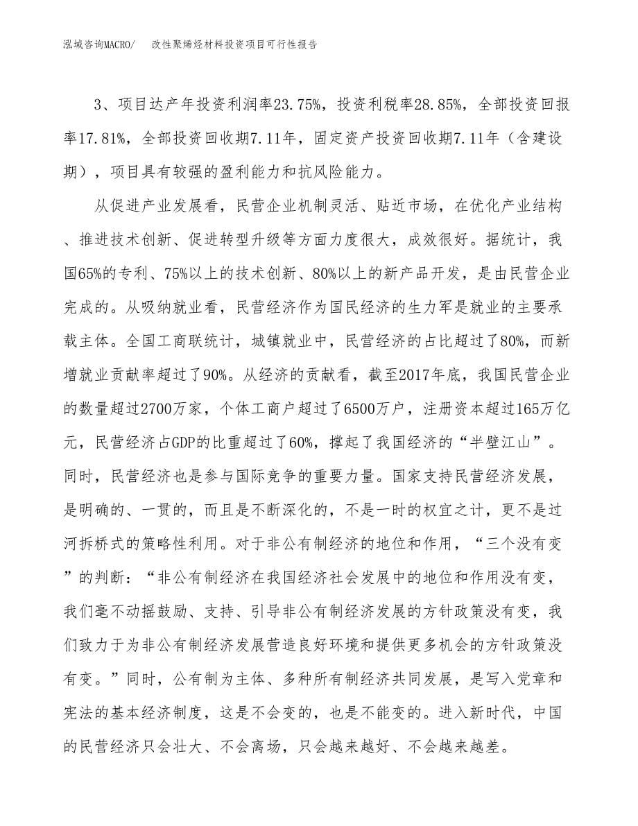 改性聚烯烃材料投资项目可行性报告(园区立项申请).docx_第5页