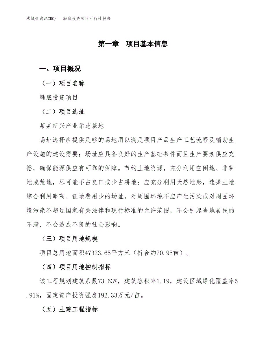 鞋底投资项目可行性报告(园区立项申请).docx_第2页