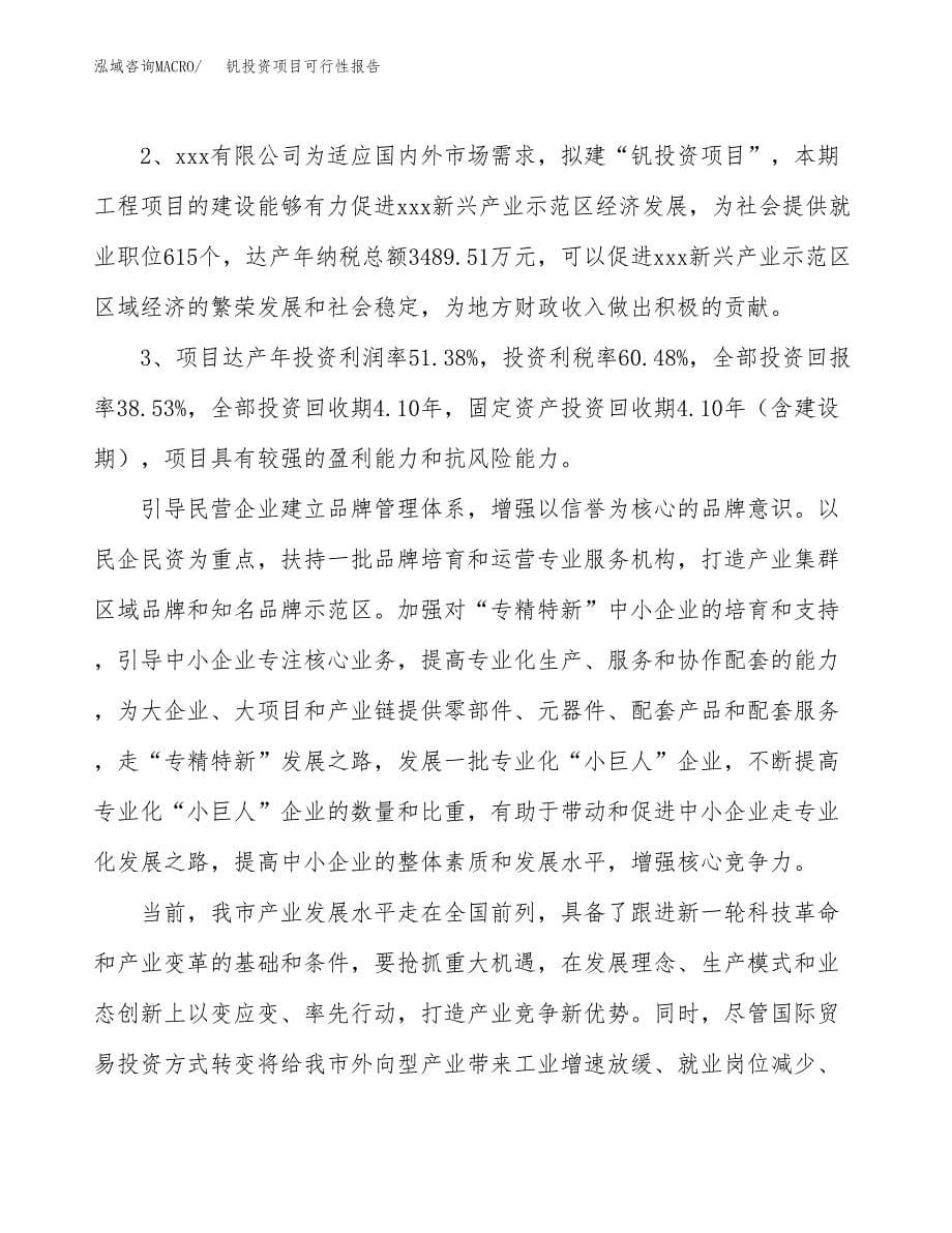 钒投资项目可行性报告(园区立项申请).docx_第5页