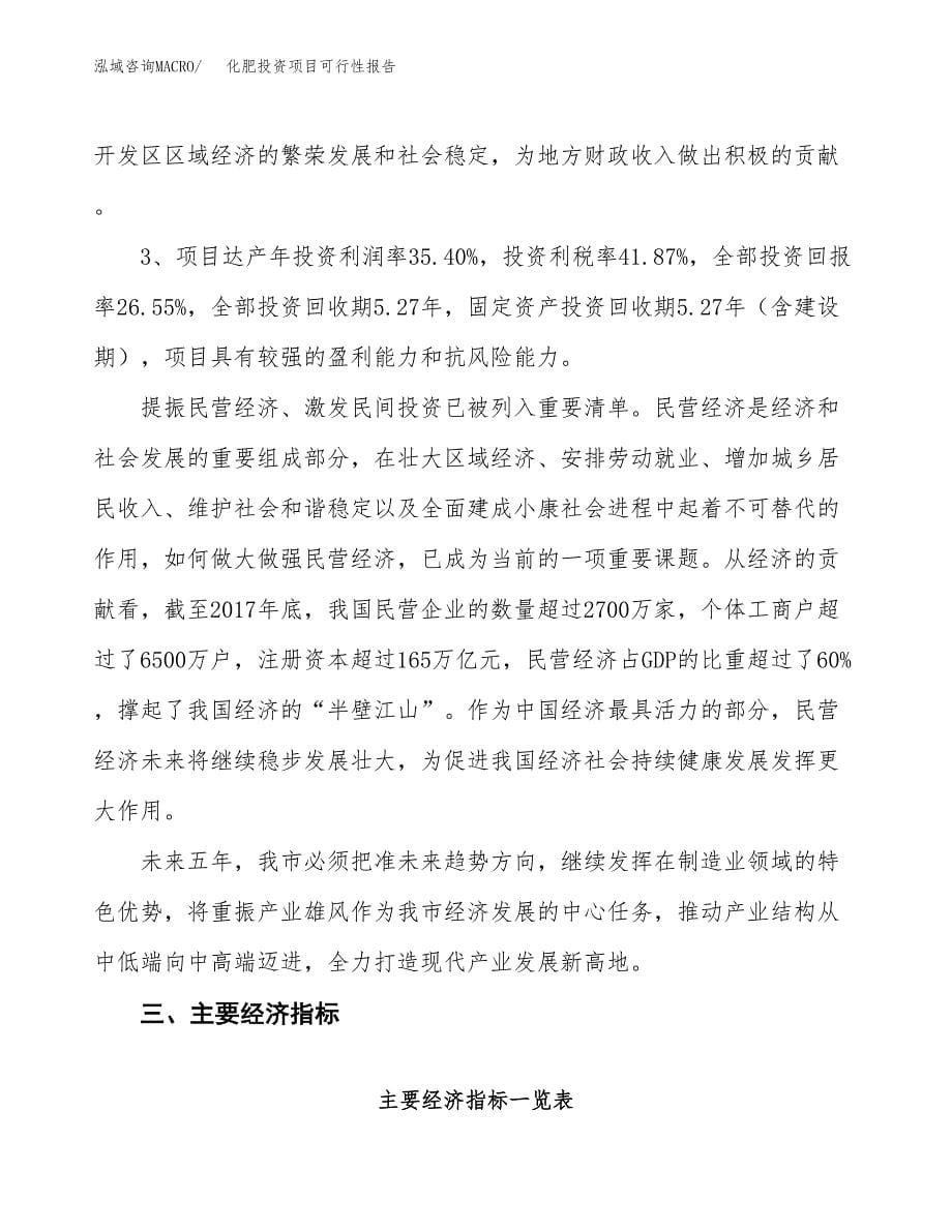 化肥投资项目可行性报告(园区立项申请).docx_第5页