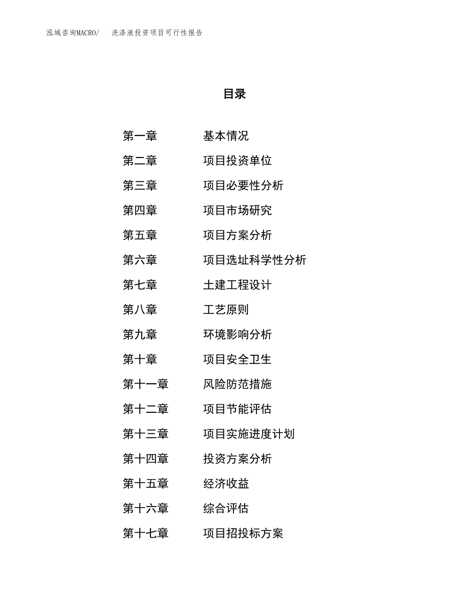 洗涤液投资项目可行性报告(园区立项申请).docx_第1页