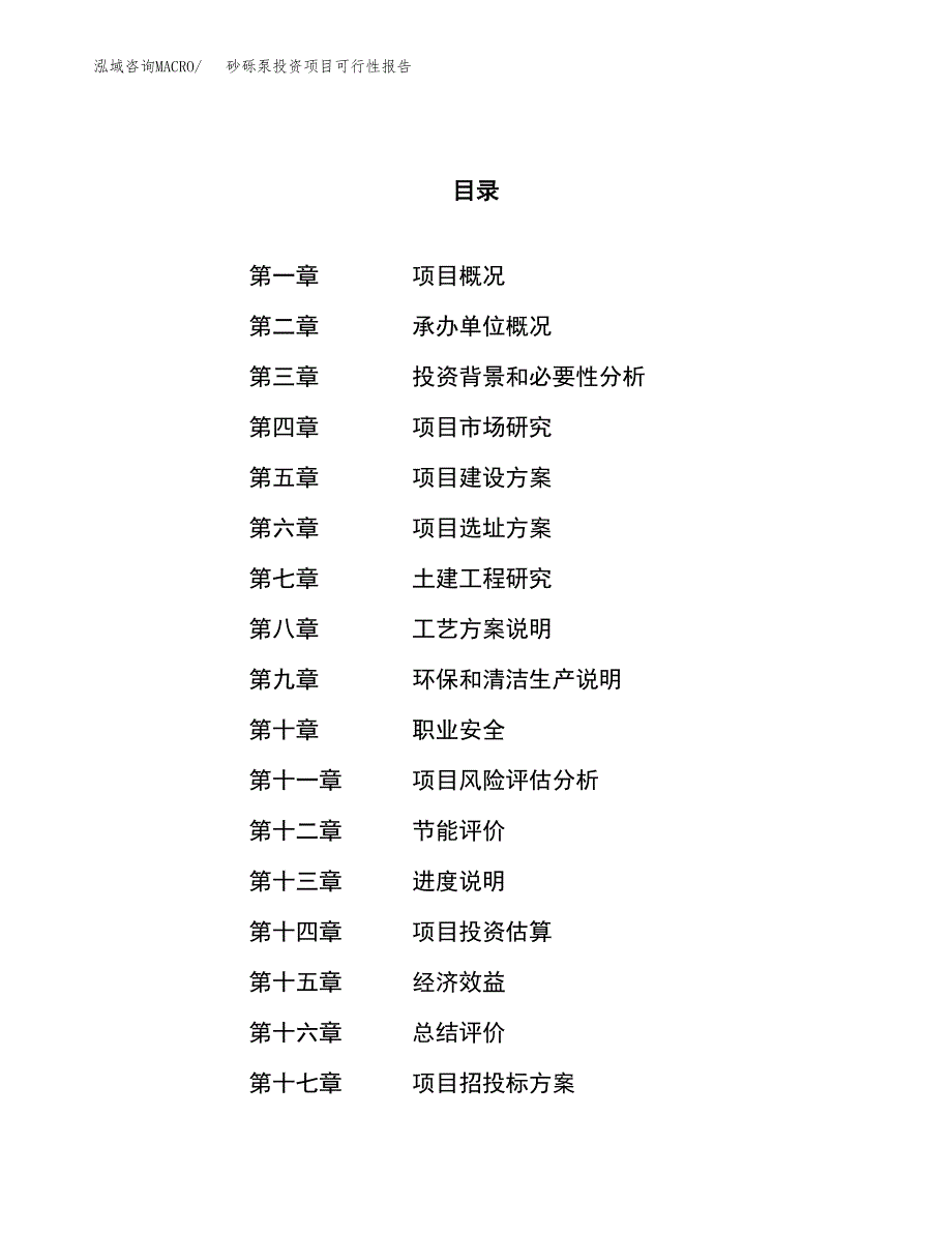 砂砾泵投资项目可行性报告(园区立项申请).docx_第1页