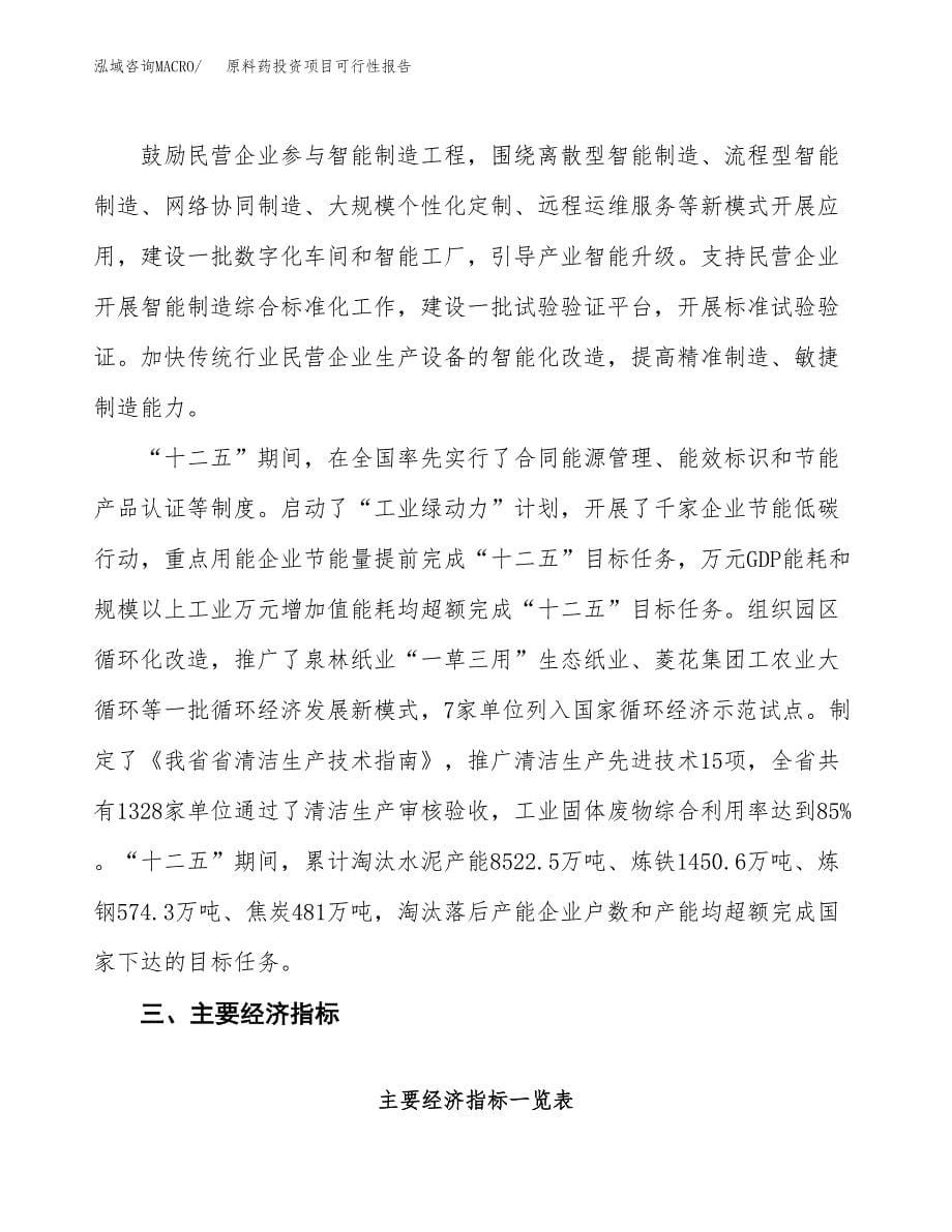 原料药投资项目可行性报告(园区立项申请).docx_第5页