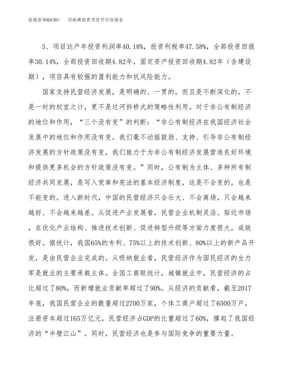 羽绒棉投资项目可行性报告(园区立项申请).docx_第5页