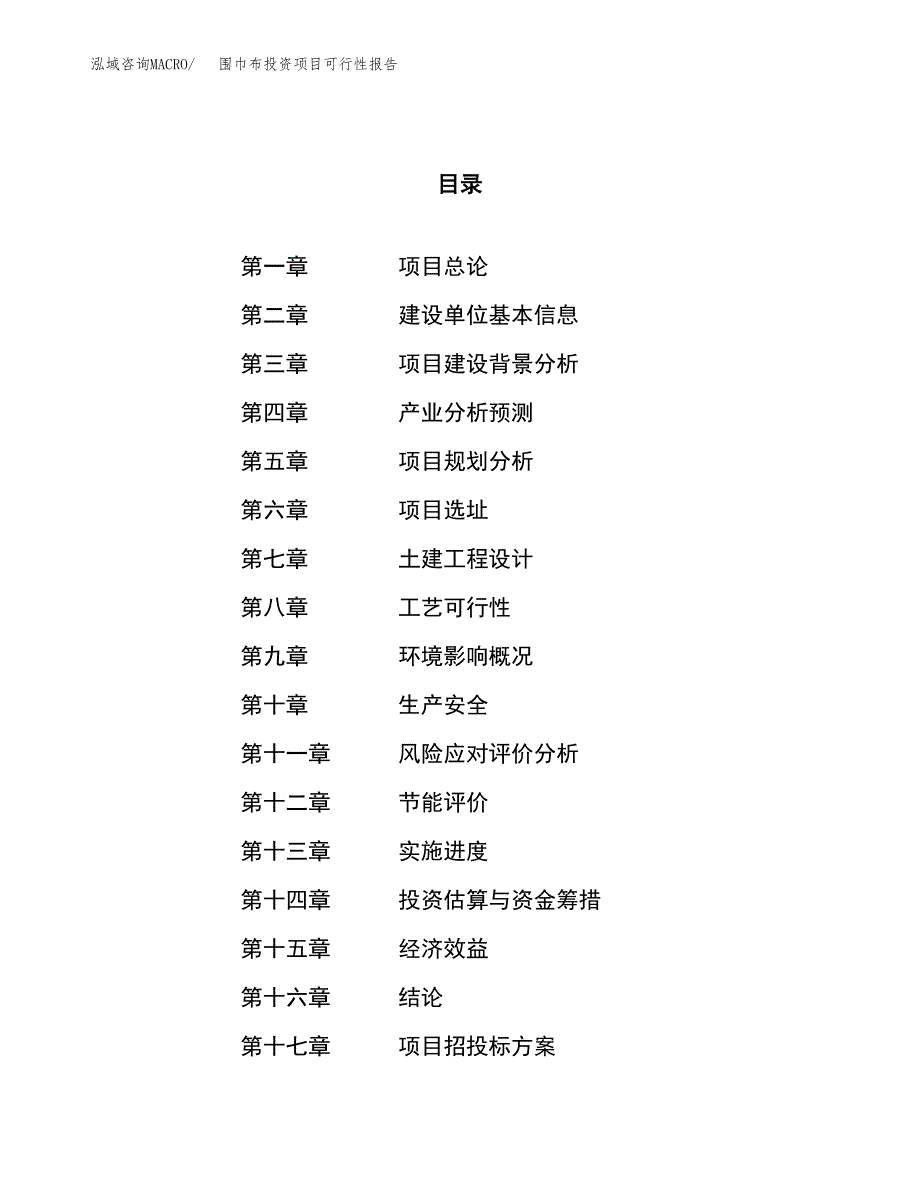 围巾布投资项目可行性报告(园区立项申请).docx_第1页