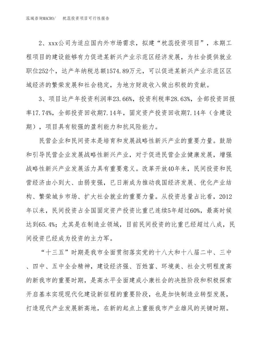 枕蕊投资项目可行性报告(园区立项申请).docx_第5页