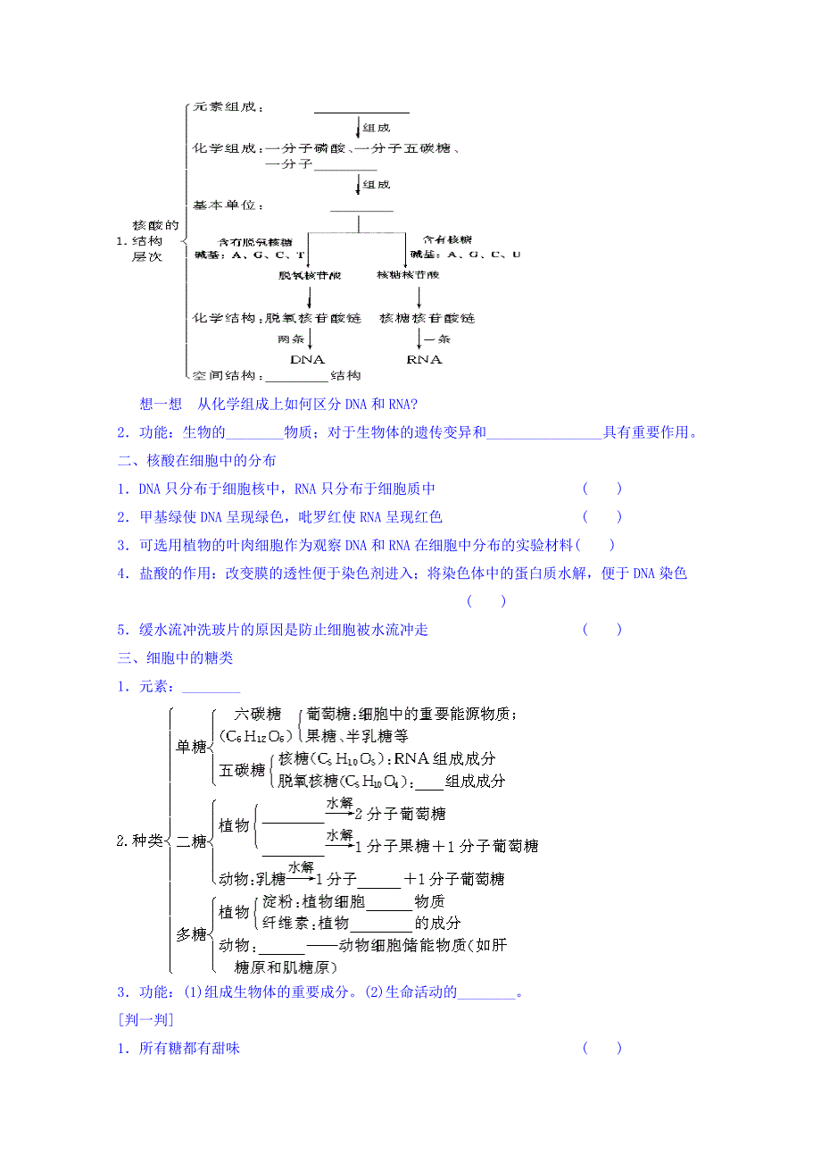 广东省惠阳区中山中学高三生物总复习学案：22 《糖类、脂质、核酸》 Word缺答案.doc_第2页