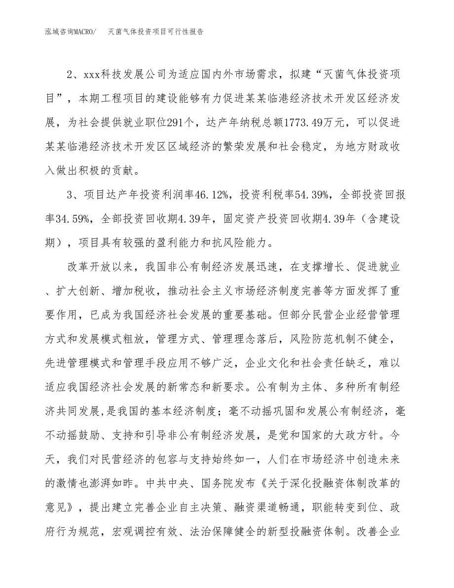 灭菌气体投资项目可行性报告(园区立项申请).docx_第5页