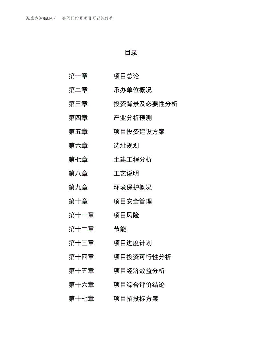 套阀门投资项目可行性报告(园区立项申请).docx_第1页