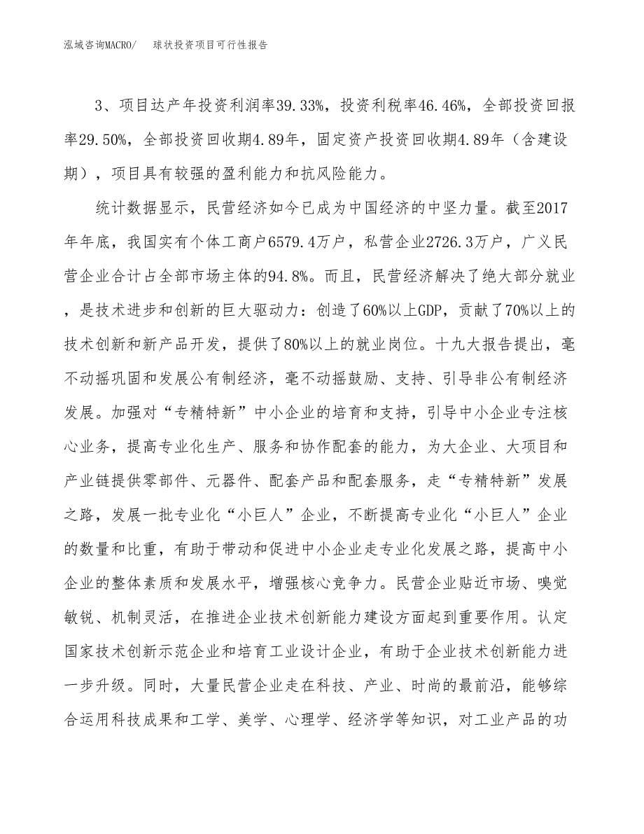 球状投资项目可行性报告(园区立项申请).docx_第5页