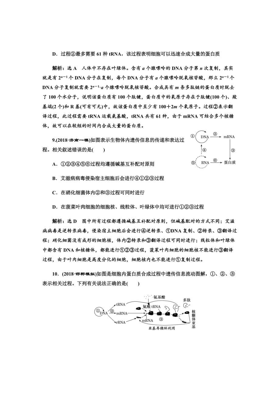 新高考生物大二轮复习固基提能习题汇编---跟踪检测（二十一）基因的表达_第5页