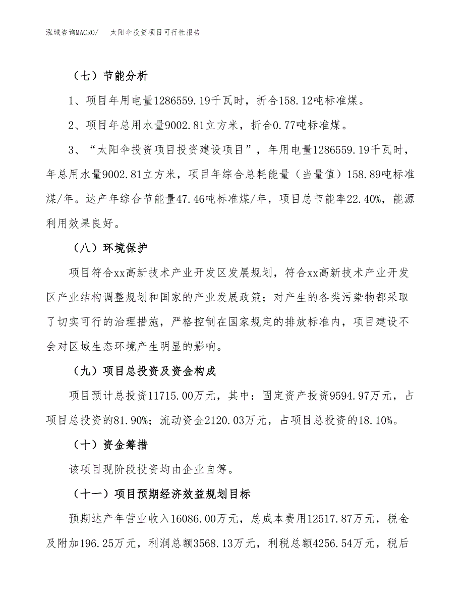 太阳伞投资项目可行性报告(园区立项申请).docx_第3页