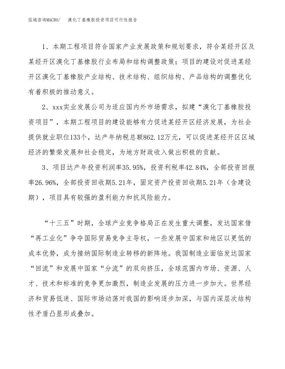 溴化丁基橡胶投资项目可行性报告(园区立项申请).docx_第5页