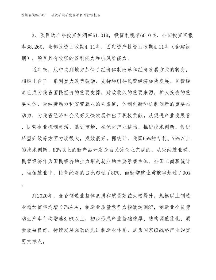 硫铁矿选矿投资项目可行性报告(园区立项申请).docx_第5页