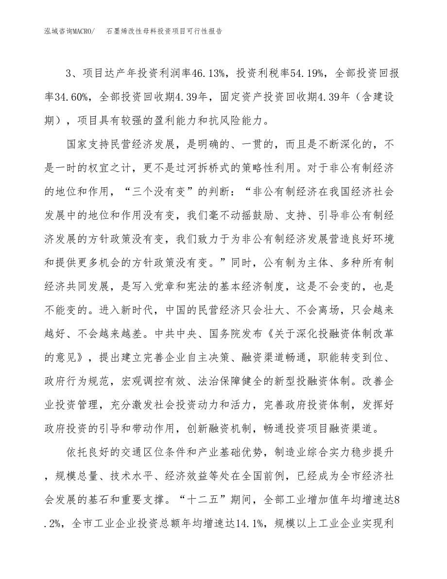 石墨烯改性母料投资项目可行性报告(园区立项申请).docx_第5页