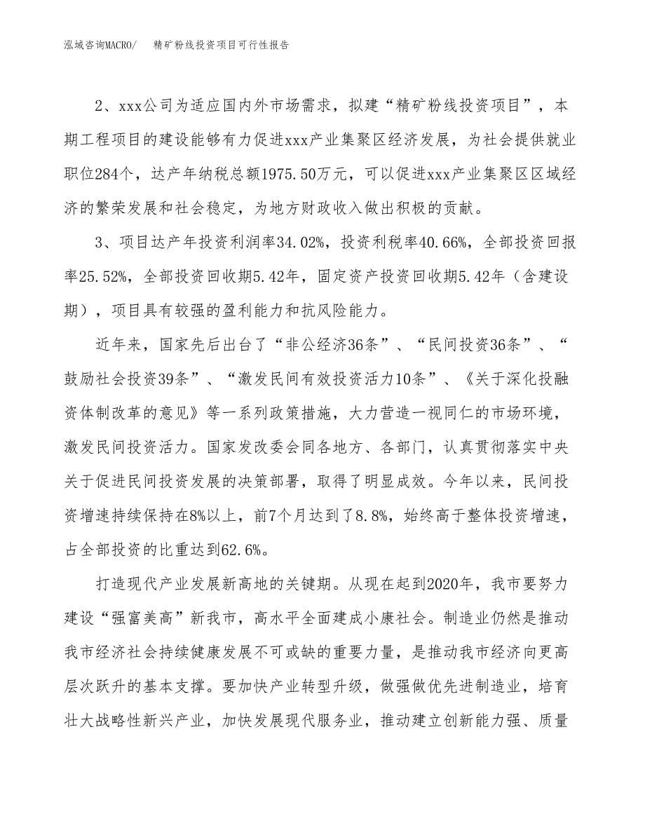 精矿粉线投资项目可行性报告(园区立项申请).docx_第5页