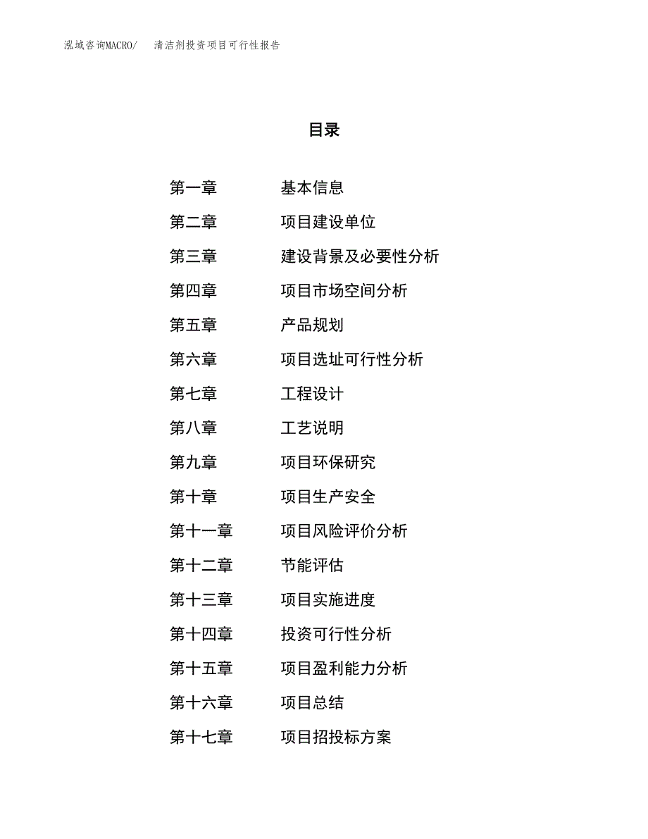 清洁剂投资项目可行性报告(园区立项申请).docx_第1页