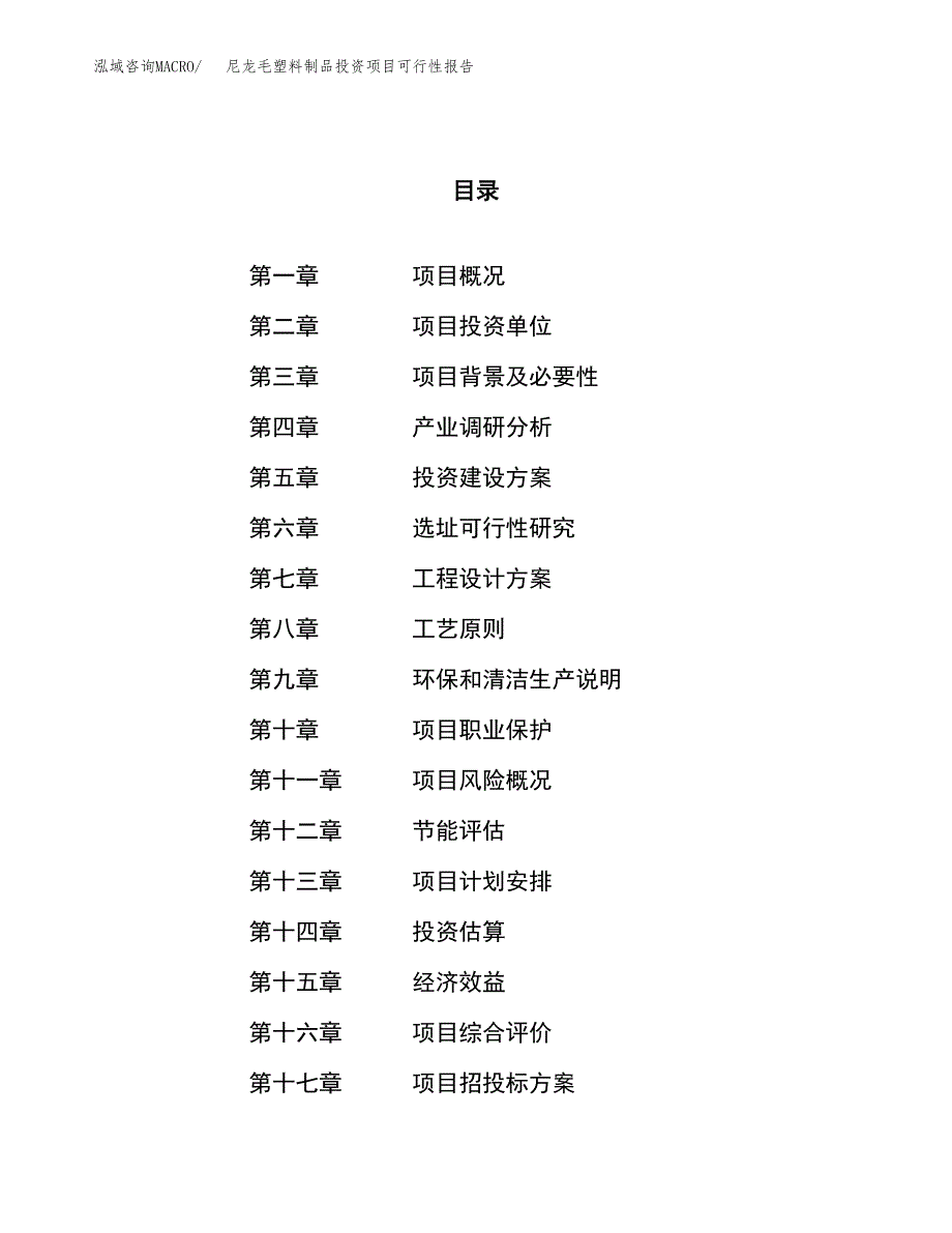 尼龙毛塑料制品投资项目可行性报告(园区立项申请).docx_第1页