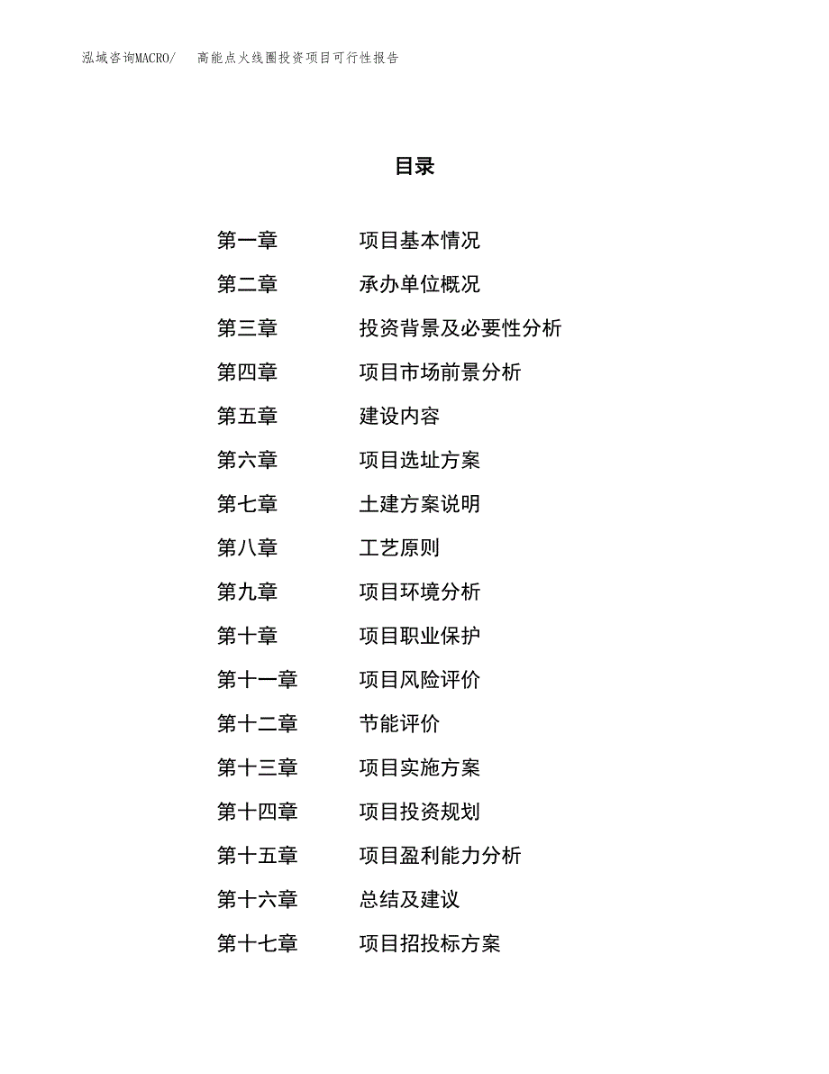 高能点火线圈投资项目可行性报告(园区立项申请).docx_第1页