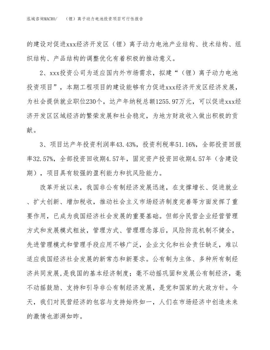 （锂）离子动力电池投资项目可行性报告(园区立项申请).docx_第5页