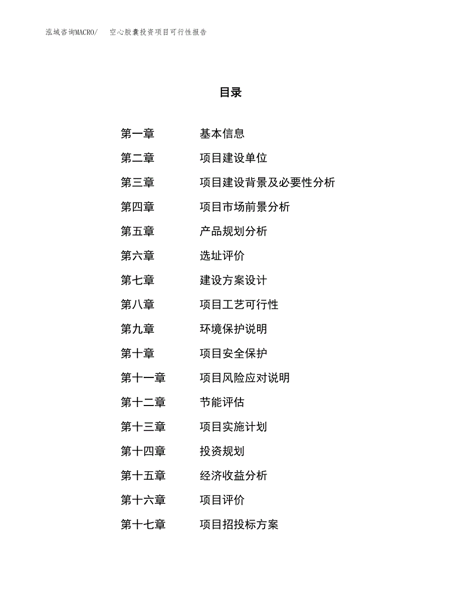 空心胶囊投资项目可行性报告(园区立项申请).docx_第1页