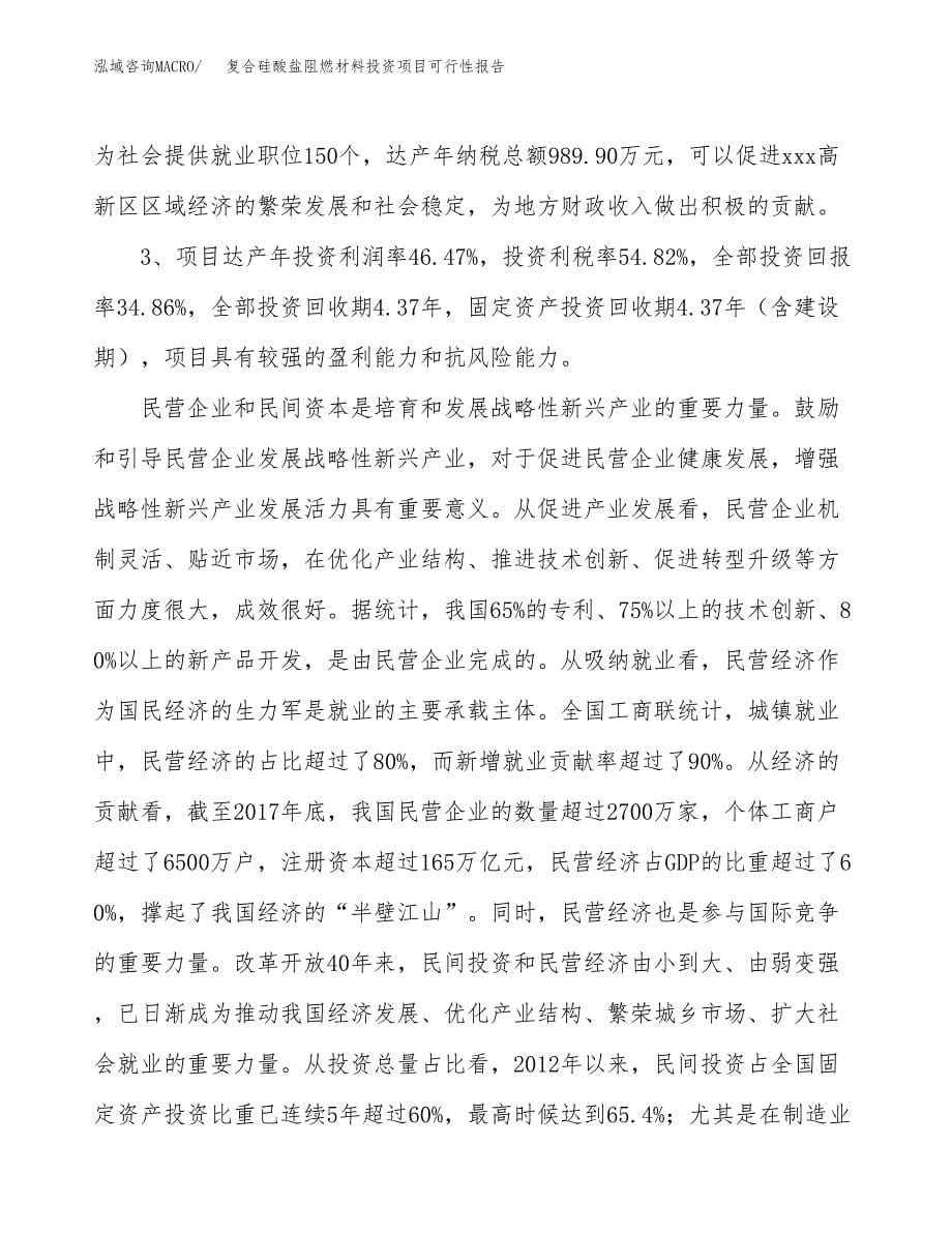 复合硅酸盐阻燃材料投资项目可行性报告(园区立项申请).docx_第5页