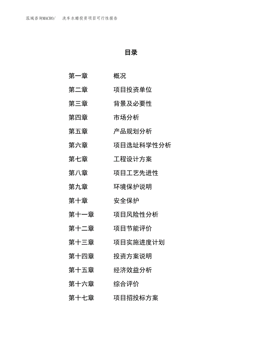 洗车水蜡投资项目可行性报告(园区立项申请).docx_第1页