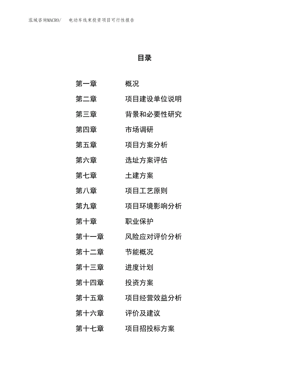 电动车线束投资项目可行性报告(园区立项申请).docx_第1页